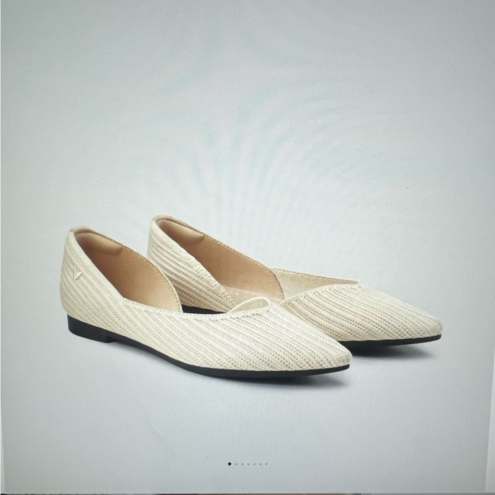 Brand new Pointer Toe Flats (Meliá)